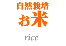 R͔|엿_